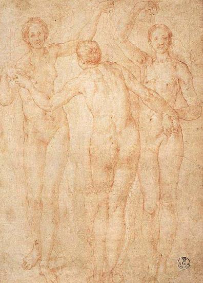 Jacopo Pontormo Three Graces Norge oil painting art